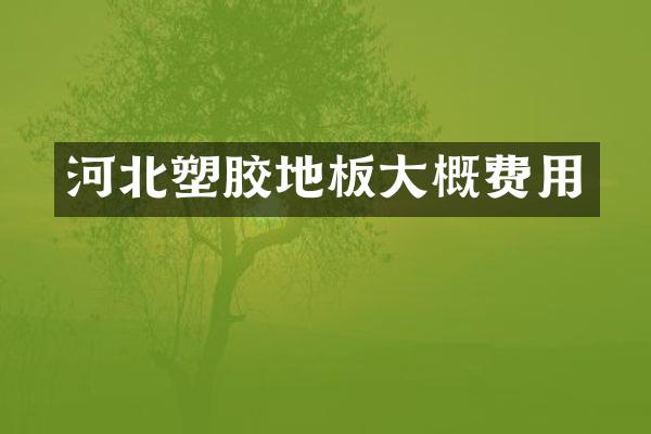 河北塑胶地板大概费用
