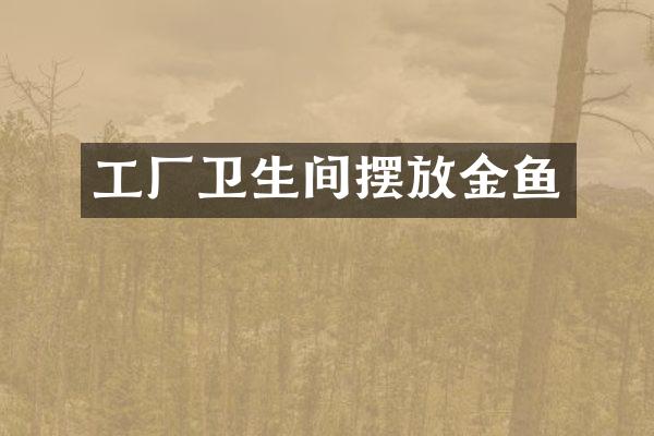工厂卫生间摆放金鱼