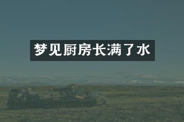 梦见厨房长满了水