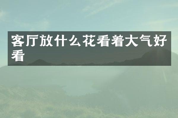 客厅放什么花看着大气好看