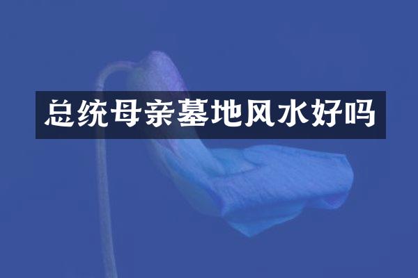 总统母亲墓地风水好吗
