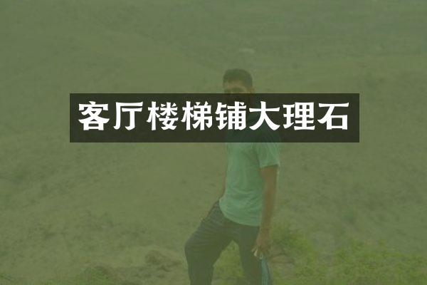 客厅楼梯铺大理石