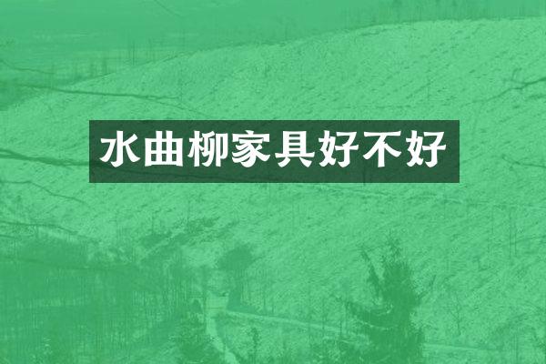 水曲柳家具好不好