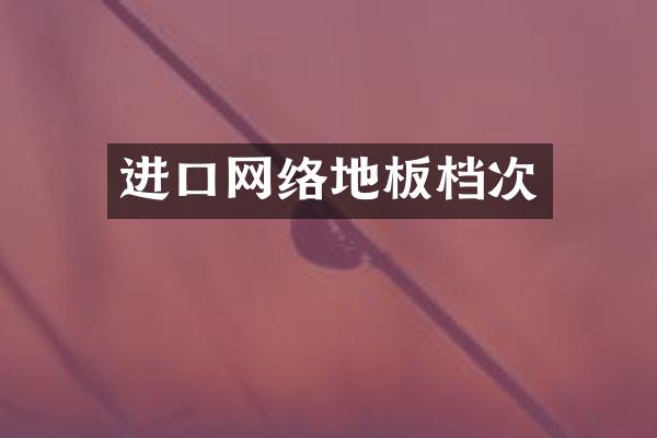 进口网络地板档次
