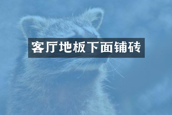 客厅地板下面铺砖