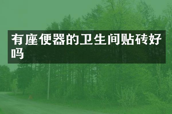 有座便器的卫生间贴砖好吗