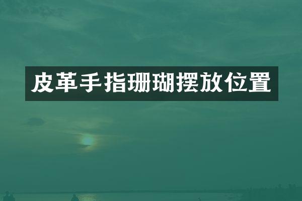 皮革手指珊瑚摆放位置