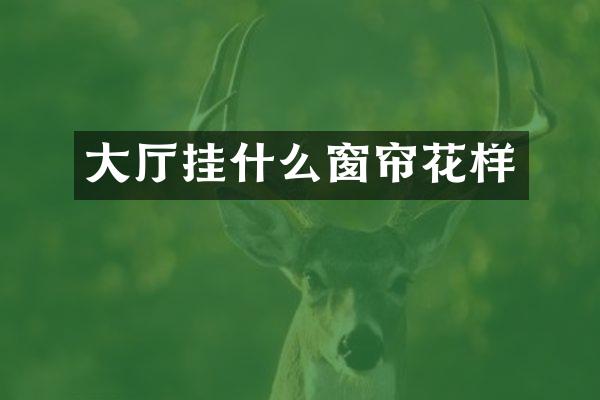 大厅挂什么窗帘花样
