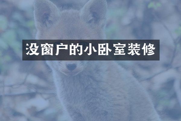 没窗户的小卧室装修