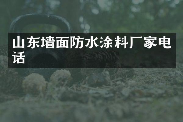 山东墙面防水涂料厂家电话