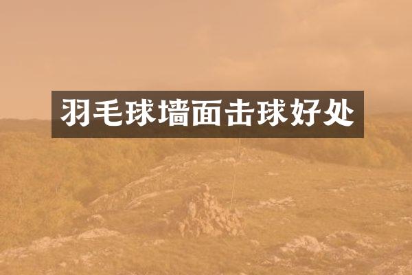 羽毛球墙面击球好处