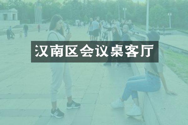 汉南区会议桌客厅