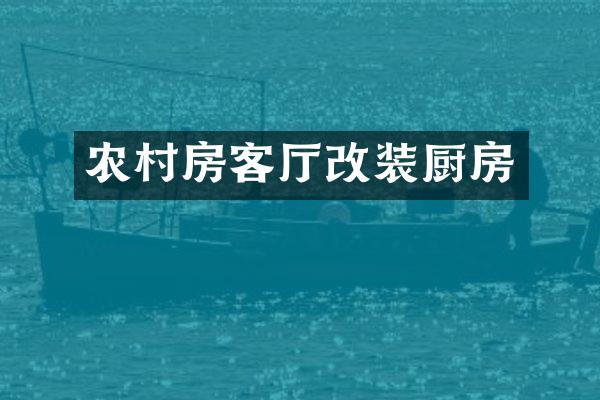 农村房客厅改装厨房