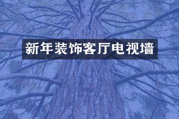 新年装饰客厅电视墙