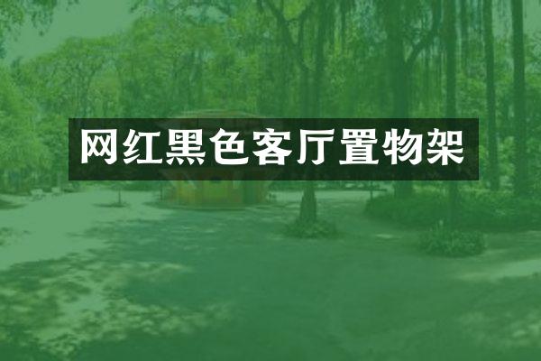 网红黑色客厅置物架