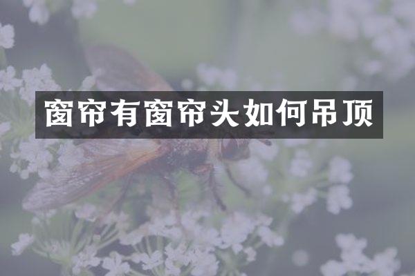 窗帘有窗帘头如何吊顶