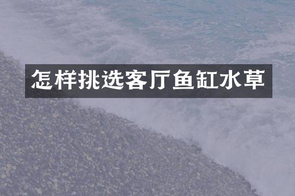 怎样挑选客厅鱼缸水草