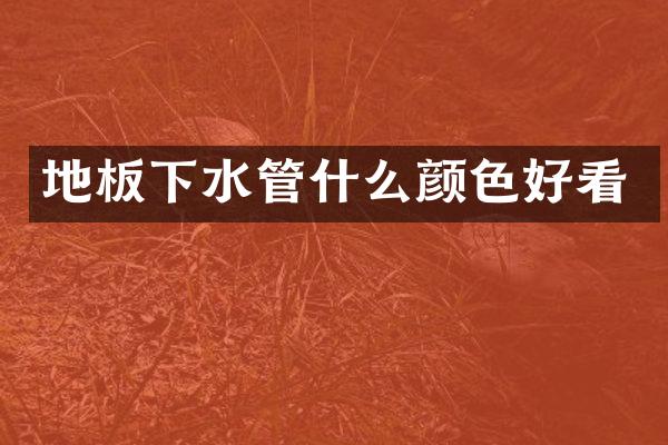 地板下水管什么颜色好看