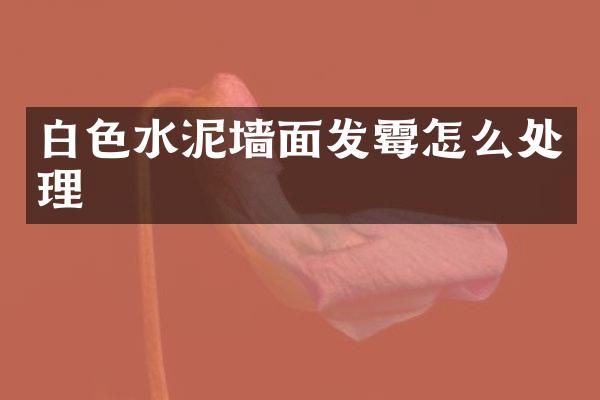 白色水泥墙面发霉怎么处理