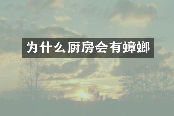 为什么厨房会有蟑螂