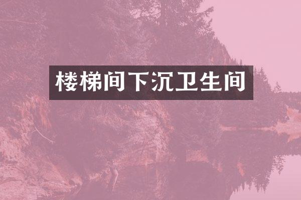 楼梯间下沉卫生间