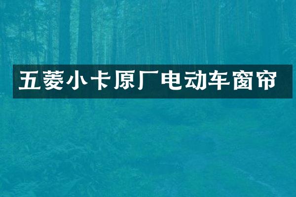 五菱小卡原厂电动车窗帘