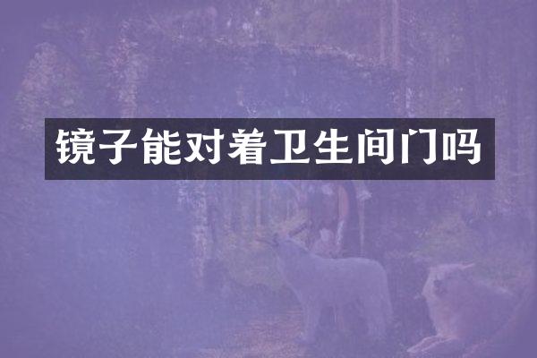 镜子能对着卫生间门吗