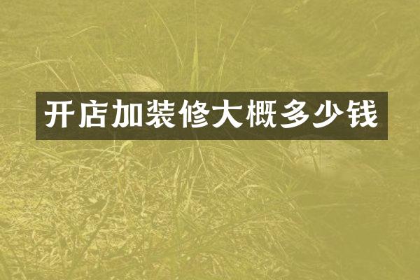 开店加装修大概多少钱