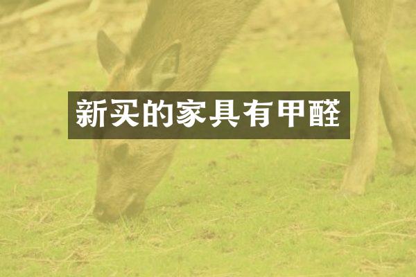 新买的家具有甲醛