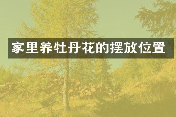 家里养牡丹花的摆放位置