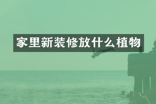 家里新装修放什么植物