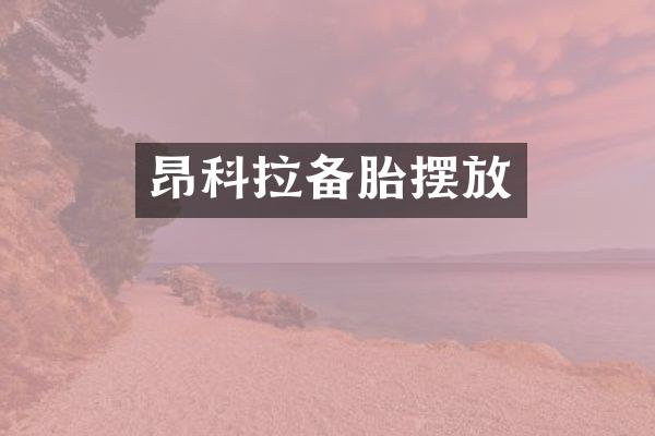 昂科拉备胎摆放