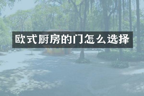 欧式厨房的门怎么选择