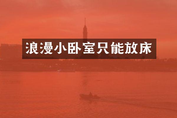浪漫小卧室只能放床