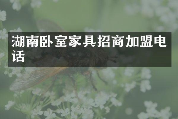 湖南卧室家具招商加盟电话