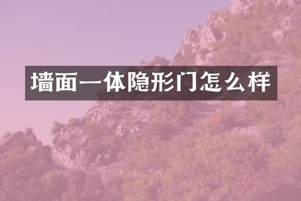 墙面一体隐形门怎么样