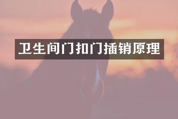 卫生间门扣门插销原理