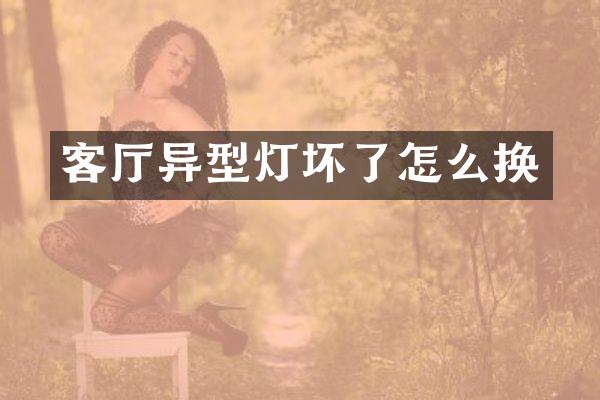 客厅异型灯坏了怎么换