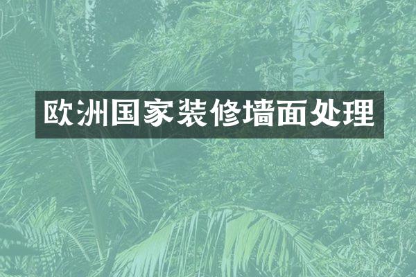 欧洲国家装修墙面处理