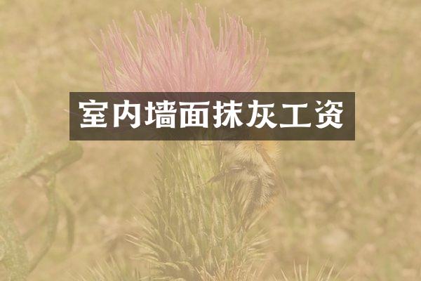 室内墙面抹灰工资