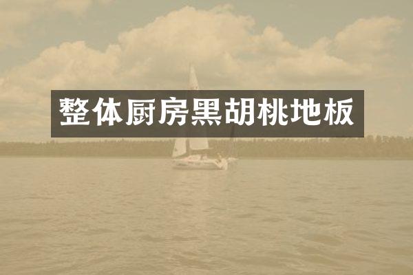 整体厨房黑胡桃地板