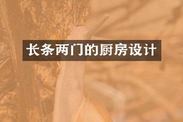 长条两门的厨房设计