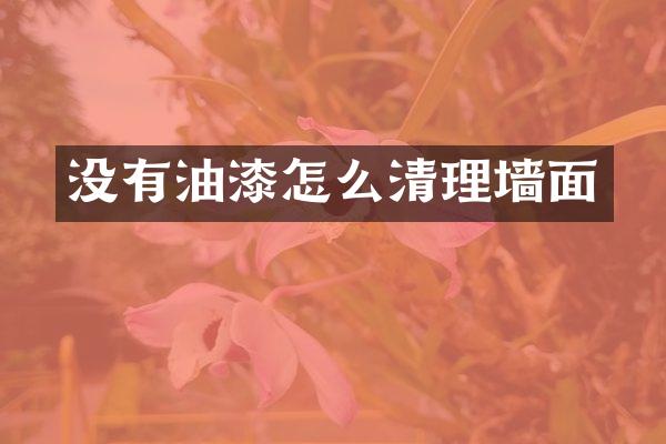 没有油漆怎么清理墙面