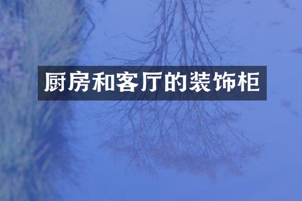 厨房和客厅的装饰柜
