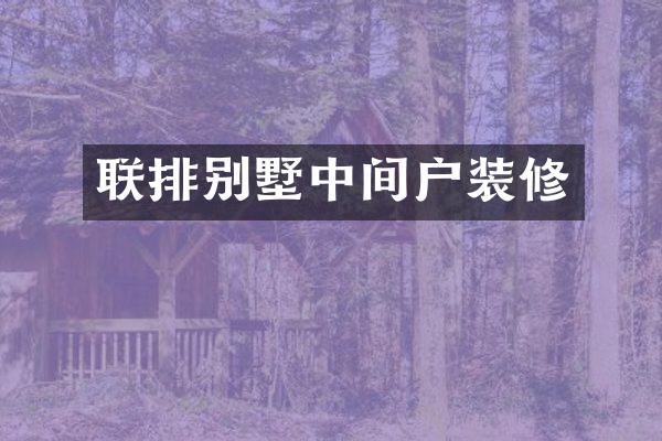 联排别墅中间户装修