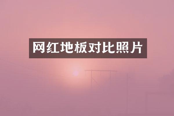 网红地板对比照片