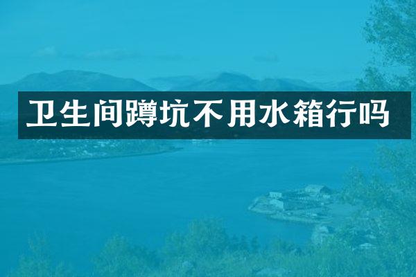 卫生间蹲坑不用水箱行吗