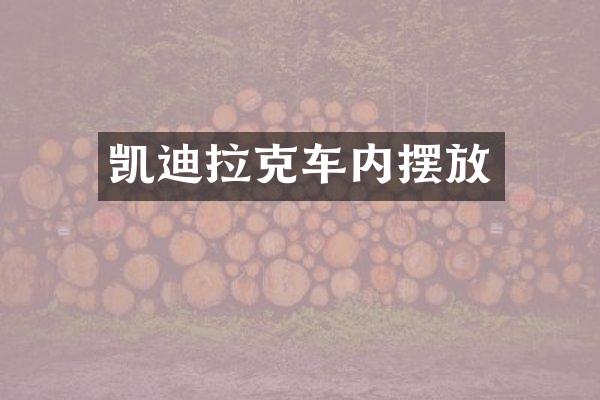 凯迪拉克车内摆放