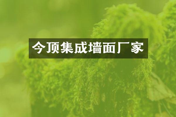 今顶集成墙面厂家