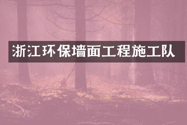 浙江环保墙面工程施工队